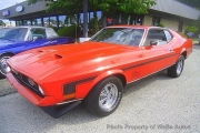 1971 Ford Mustang for sale