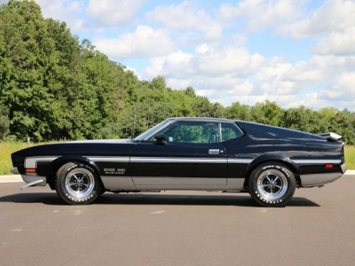 1971 Ford Mustang for sale