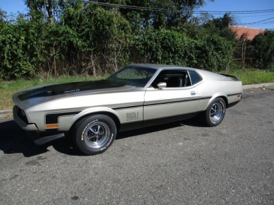 1971 Ford Mustang for sale