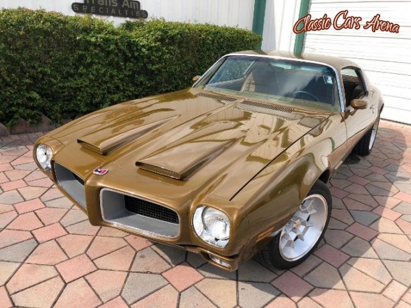 1971 Pontiac Firebird for sale in Michigan (ID-39058)