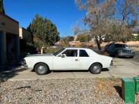 1971 AMC Hornet for sale in Michigan (ID-123485)