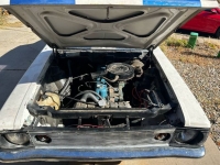 1971 AMC Hornet for sale in Michigan (ID-123485)