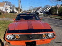 1971 AMC Javelin for sale in Michigan (ID-123736)