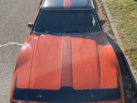 1971 AMC Javelin for sale in Michigan (ID-123736)