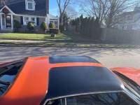 1971 AMC Javelin for sale in Michigan (ID-123736)