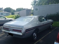 1971 AMC Javelin for sale in Michigan (ID-123753)