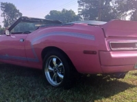 1971 AMC Javelin for sale in Michigan (ID-125614)