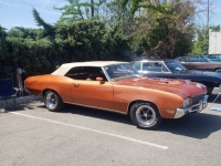 1971 Buick GS for sale in Michigan (ID-122225)