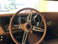 1971 Buick GS for sale in Michigan (ID-122225)