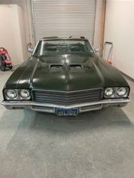 1971 Buick Skylark for sale in Michigan (ID-106149)
