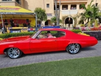 1971 Buick Skylark for sale in Michigan (ID-109221)