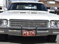 1971 Buick Skylark for sale in Michigan (ID-121793)