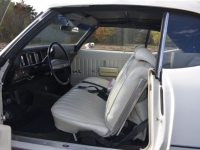 1971 Buick Skylark for sale in Michigan (ID-121793)