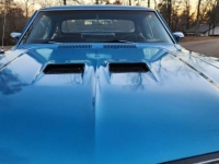 1971 Buick Skylark for sale in Michigan (ID-124367)