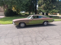 1971 Buick Skylark for sale in Michigan (ID-144809)
