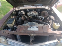 1971 Buick Skylark for sale in Michigan (ID-144809)