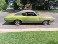 1971 Buick Skylark for sale in Michigan (ID-144809)
