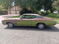 1971 Buick Skylark for sale in Michigan (ID-144809)