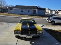 1971 Buick Skylark for sale in Michigan (ID-161836)