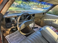 1971 Buick Skylark for sale (ID-146572)