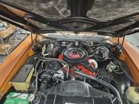 1971 Buick Skylark for sale (ID-146572)