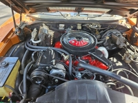 1971 Buick Skylark for sale (ID-146572)