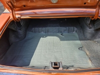 1971 Buick Skylark for sale (ID-146572)