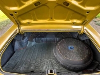 1971 Buick Skylark for sale in Michigan (ID-163704)