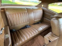 1971 Buick Skylark for sale in Michigan (ID-163704)