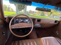 1971 Buick Skylark for sale in Michigan (ID-163704)