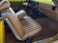 1971 Buick Skylark for sale in Michigan (ID-163704)