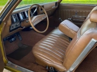 1971 Buick Skylark for sale in Michigan (ID-163704)
