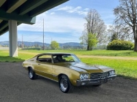 1971 Buick Skylark for sale in Michigan (ID-163704)