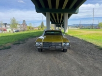 1971 Buick Skylark for sale in Michigan (ID-163704)