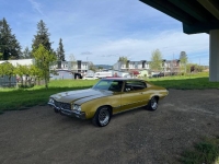 1971 Buick Skylark for sale in Michigan (ID-163704)
