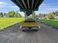 1971 Buick Skylark for sale in Michigan (ID-163704)