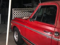1971 Chevrolet C20 for sale in Michigan (ID-106289)