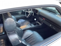 1971 Chevrolet Camaro for sale in Michigan (ID-116759)