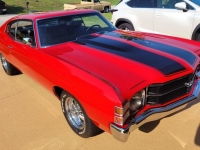 1971 Chevrolet Chevelle for sale in Riverhead, New York (ID-102185)