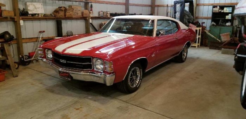 1971 Chevrolet Chevelle for sale in Michigan (ID-103898) 1971 Chevrolet Chevelle for sale in Michigan (ID-103898)