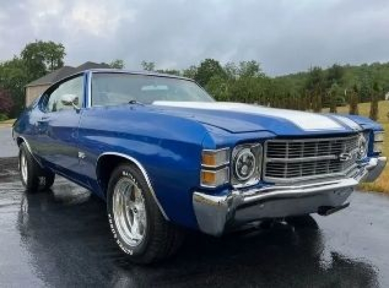 1971 Chevrolet Chevelle for sale in Michigan (ID-120341)