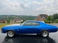 1971 Chevrolet Chevelle for sale in Michigan (ID-120341)