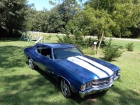 1971 Chevrolet Chevelle for sale in Michigan (ID-120341)