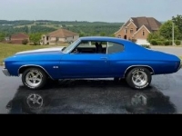 1971 Chevrolet Chevelle for sale in Michigan (ID-120341)