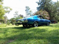 1971 Chevrolet Chevelle for sale in Michigan (ID-120341)