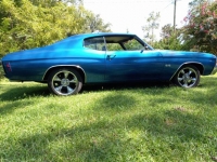 1971 Chevrolet Chevelle for sale in Michigan (ID-120341)