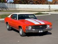 1971 Chevrolet Chevelle for sale in Addison, Illinois (ID-122197)