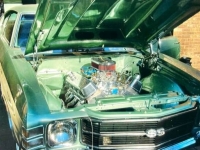 1971 Chevrolet Chevelle for sale in Michigan (ID-122780)