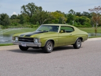 1971 Chevrolet Chevelle for sale (ID-124739)