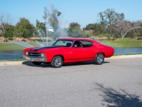 1971 Chevrolet Chevelle for sale in Riverhead, New York (ID-125022)